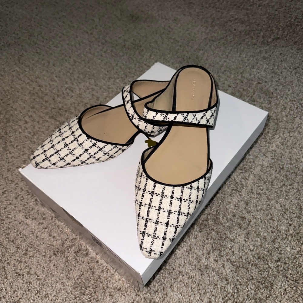 Ann Taylor dress shoes